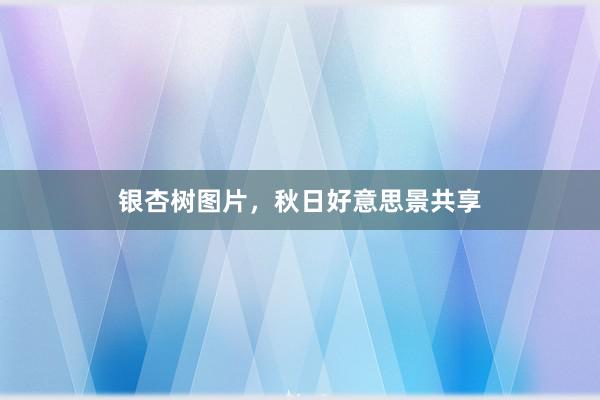 银杏树图片，秋日好意思景共享