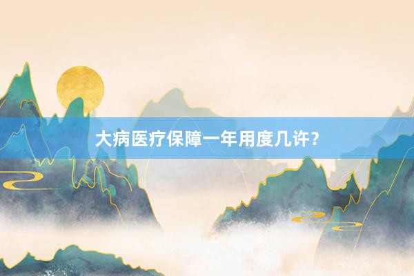 大病医疗保障一年用度几许？