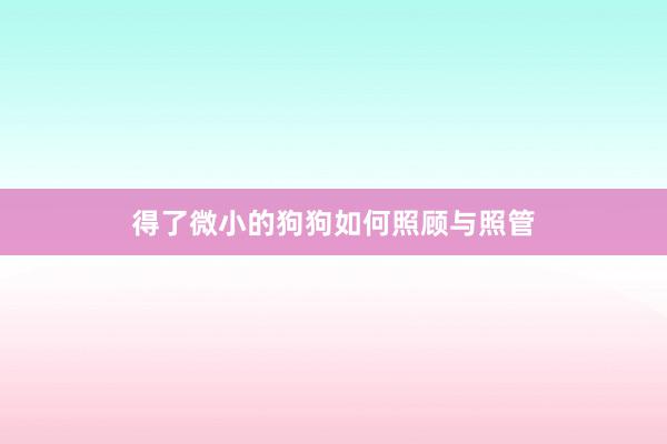 得了微小的狗狗如何照顾与照管