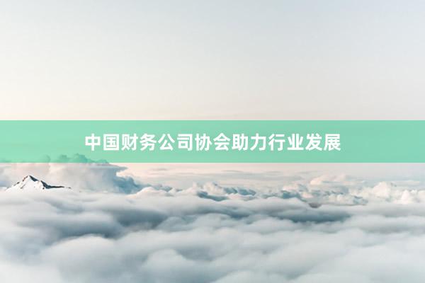 中国财务公司协会助力行业发展