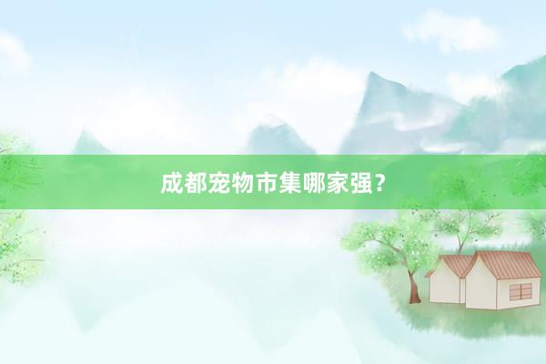 成都宠物市集哪家强？