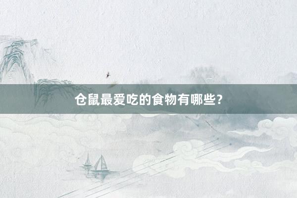 仓鼠最爱吃的食物有哪些？